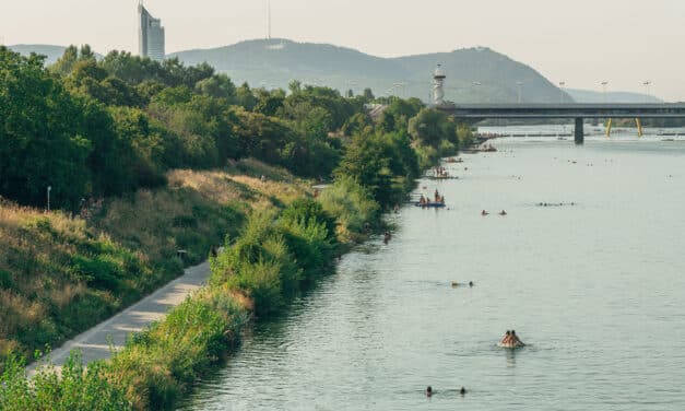 Vienna Museum: The Danube Island