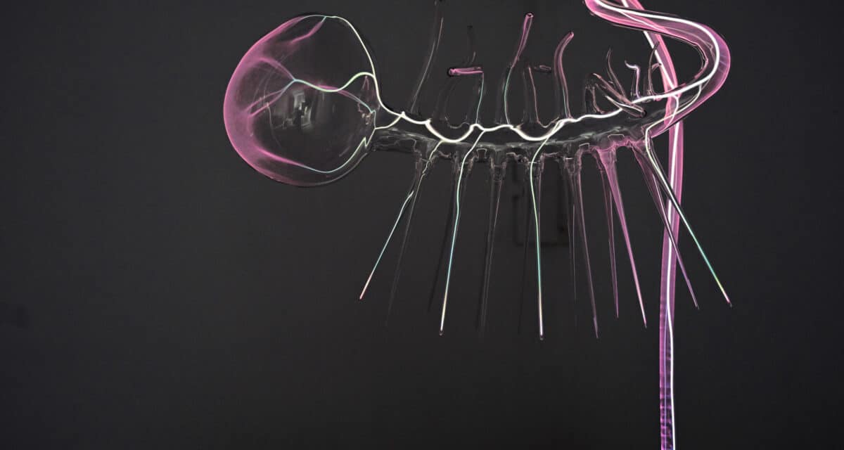 Lentos Kunstmuseum Linz: The World Wit­hout Us