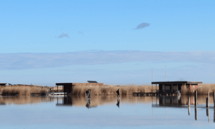 Kulturzentrum Mattersburg: DIE KREATIVITÄT LEBT 