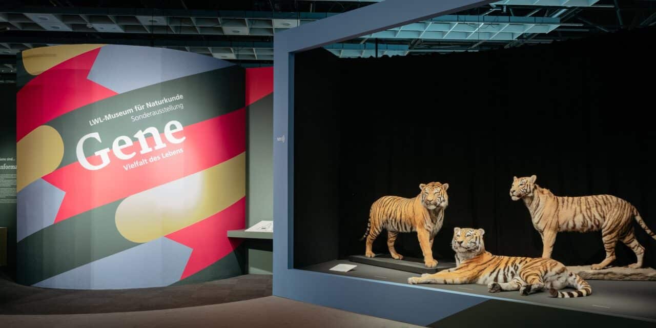 LWL Museum of Natural History with Planetarium Münster: Genes – the silent architecture of life