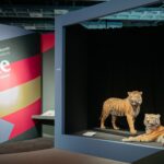 LWL Museum für Naturkunde mit Planetarium Münster: Gene – die stille Architektur des Lebens