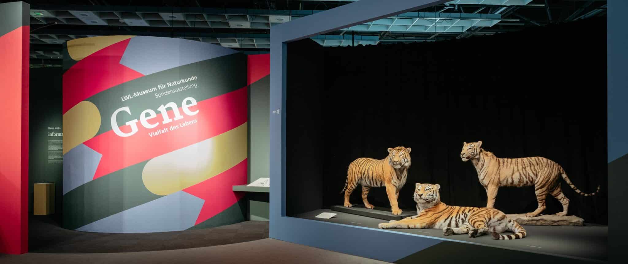 Sitemapcdatahttpsaktuelinfbizidaktuelle Ausstellung Lwl Munsternull