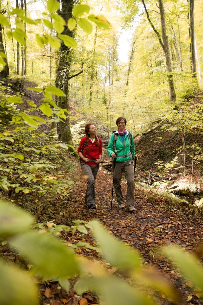 Die Natur rund um Konstanz wird zum Erlebnisraum © MTK/Ulrike Klumpp