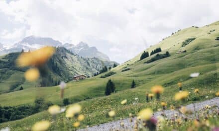 Lech Zürs 2026: Ein Sommer, der bleibt