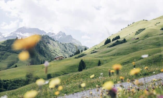 Lech Zürs 2026: A summer to remember