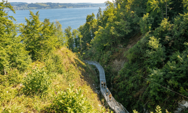 Konstanz: das Naturparadies die Marienschlucht am Bodensee kehrt zurück