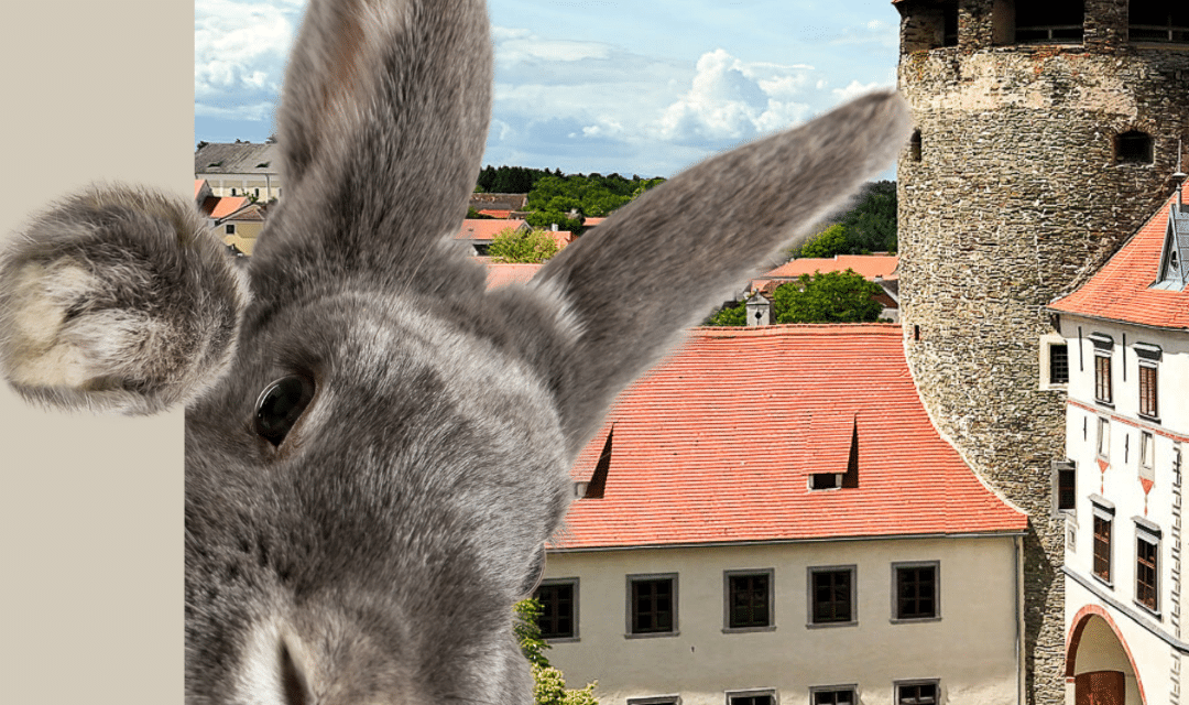Spring at Schlaining Castle – history, music, and experiential spaces