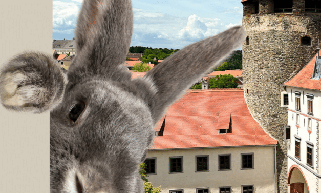 Frühling auf der Friedensburg Schlaining – Geschichte, Musik und Erlebnisräume