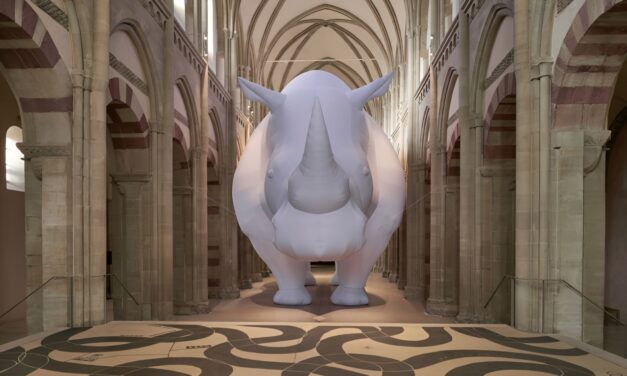 Kunstmuseum Magdeburg: Itamar Gov. The Rhinoceros in the room