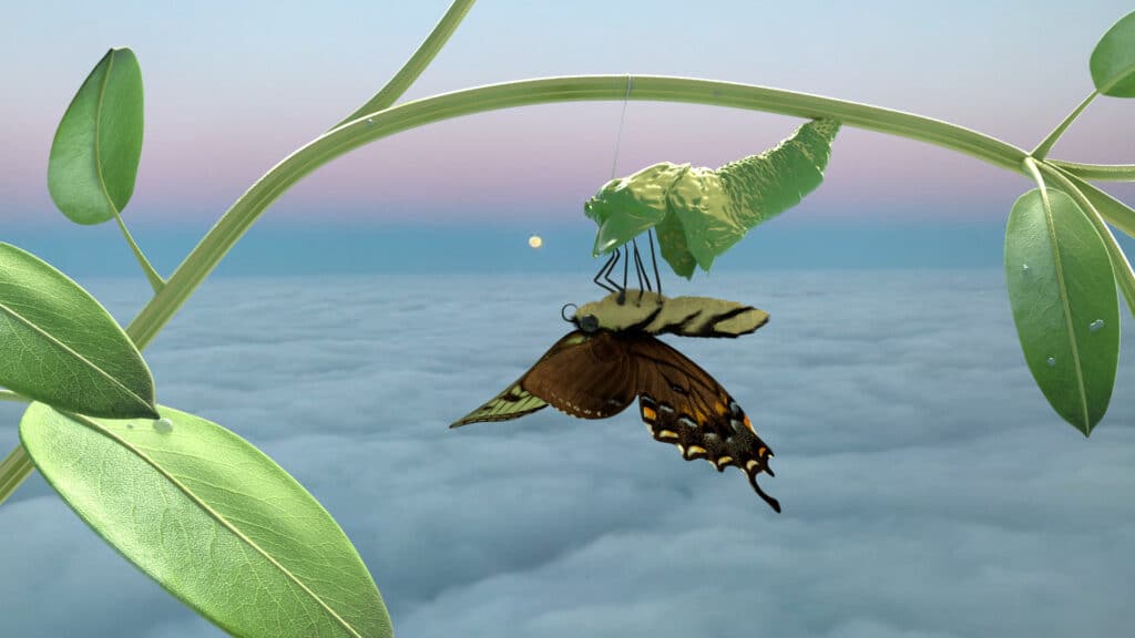  The Institute of Queer Ecology, Still aus Metamorphosis, Episode 3: Emergence, 2020, Courtesy: The Institute of Queer Ecology und DIS, New York