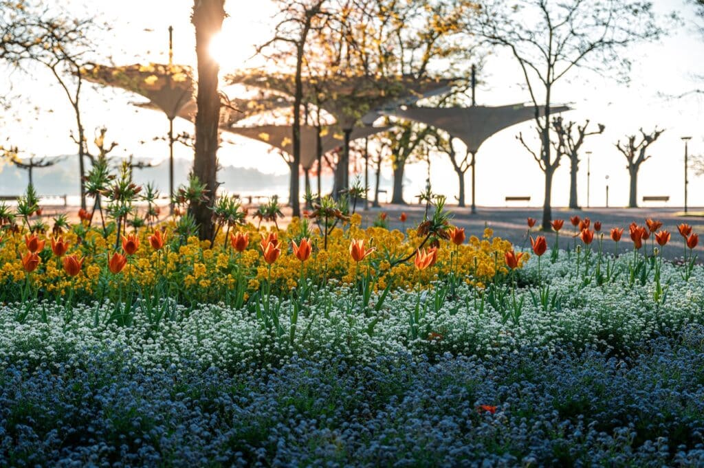 Konstanz, Stadtgarten © MTK, Christoph Partsch