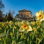 Das Gartenjahr 2026 in Konstanz: Bäume am Bodensee
