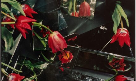 Landesausstellung Baden-Württemberg 2026: Bloom up! Die Sprache der Blumen