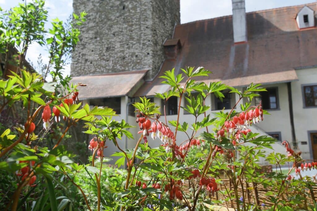 Pop-up-Garten „Hortus Pacis“ © KBB Burgenland