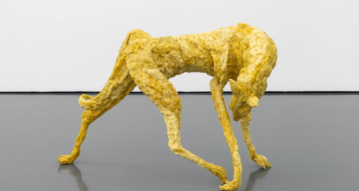 Kunsthaus Merano: Kunst als Resonanzraum der Gegenwart