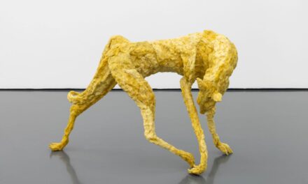 Kunsthaus Merano: Kunst als Resonanzraum der Gegenwart