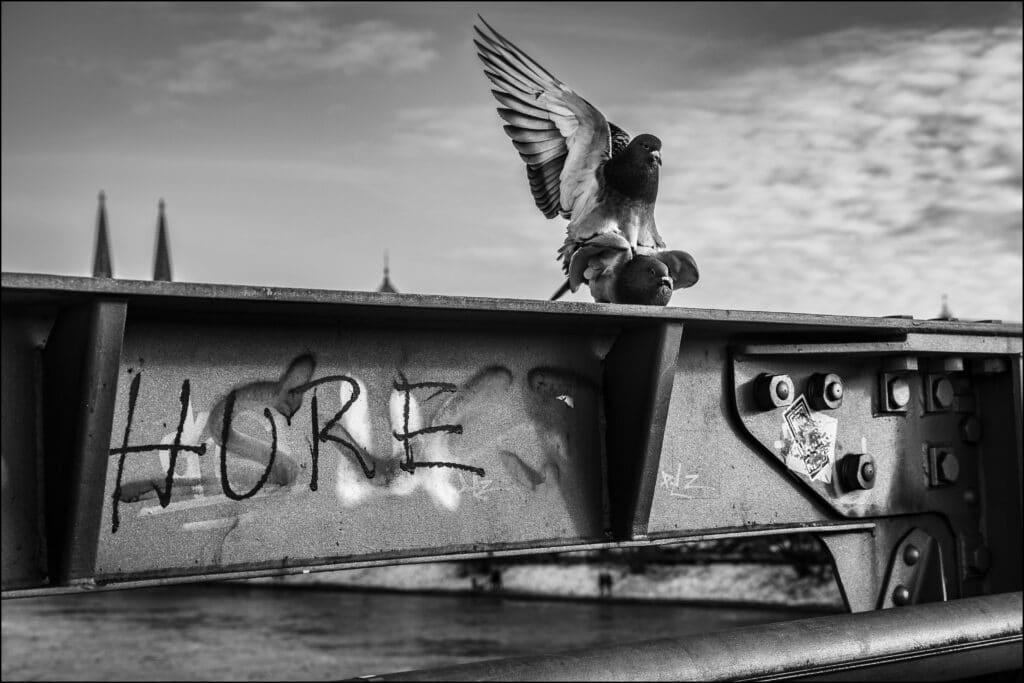 Stefan Hanke, „Hure“ © Stefan Hanke