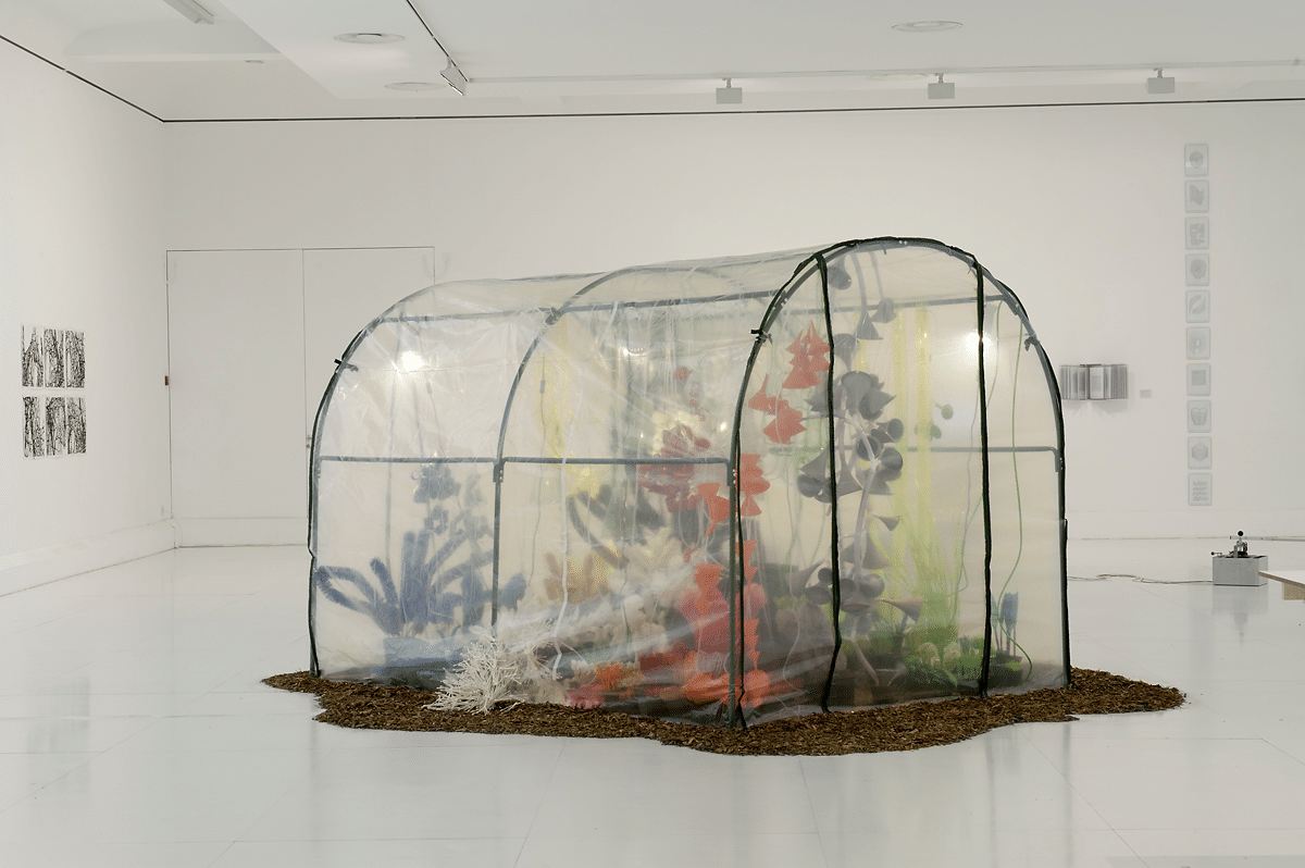 Internationale Gruppenschau „Frictions on Landscapes“: Adrina Jörg,Installation „Paranatur“ © Andrina Jörg