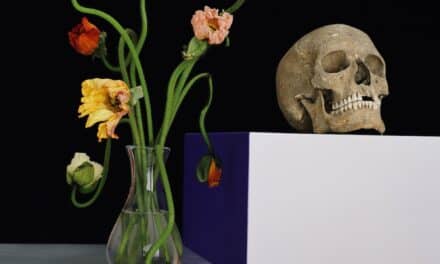 Kunstmuseum Luzern: Shirana Shahbazi – Bilder im Schwebezustand