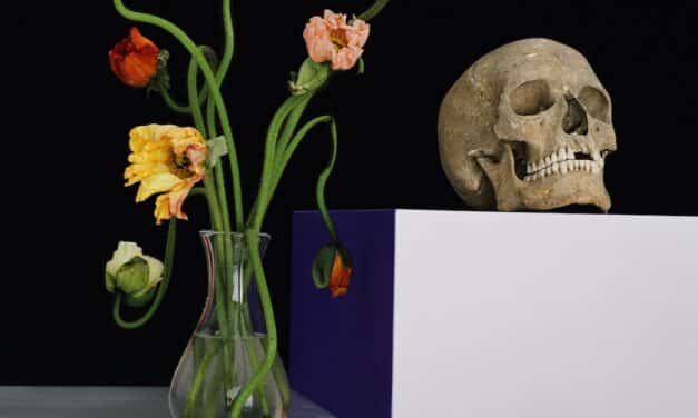 Kunstmuseum Luzern: Shirana Shahbazi – Bilder im Schwebezustand
