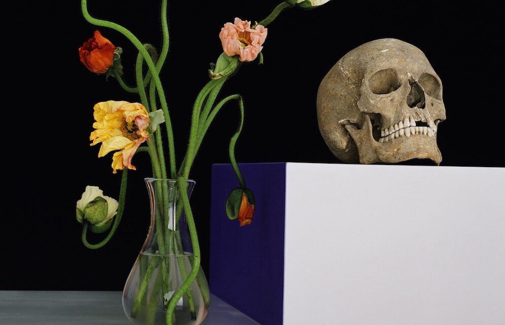 Kunstmuseum Luzern: Shirana Shahbazi – Bilder im Schwebezustand