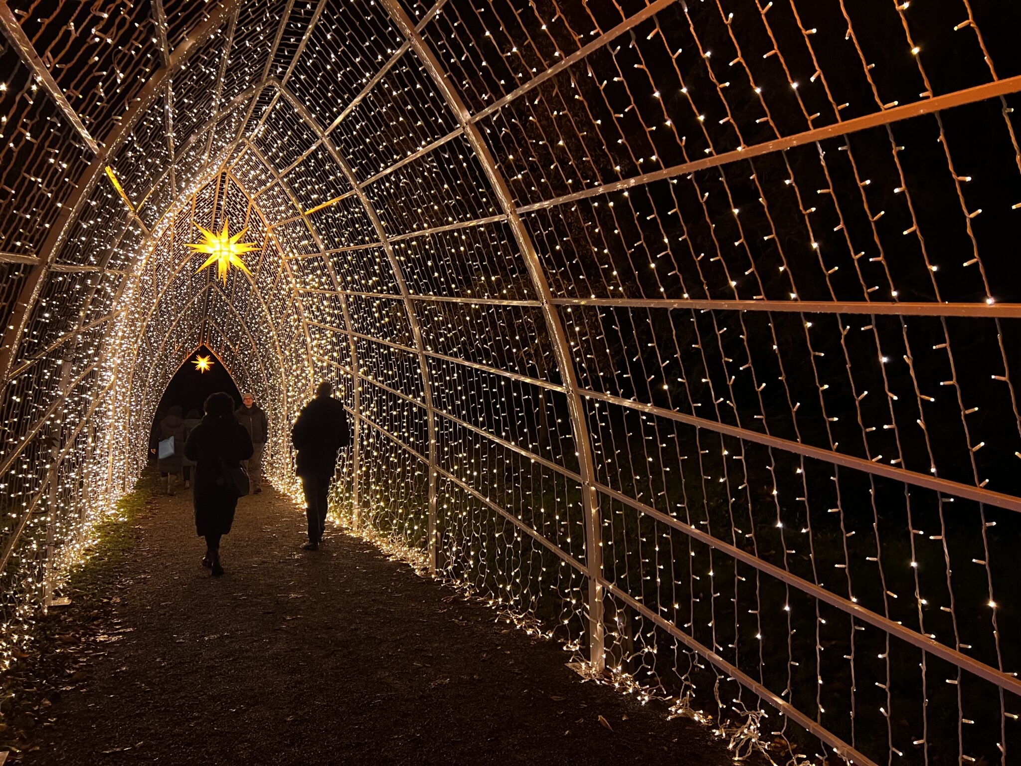 Mainau, Christmas Garden © MTK, Theresa Arndt