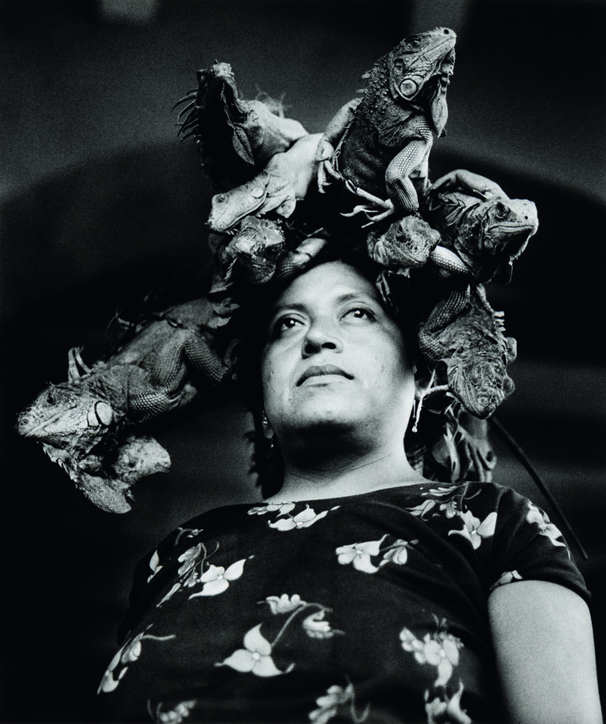 Graciela Iturbide, Nuestra Señora de las Iguanas (Our Lady of the Iguanas), Juchitán, Oaxaca, 1979. Dom Museum Wien, Otto Mauer Contemporary, Courtesy of the artist, Foto: L. Deinhardstein