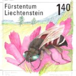 Liechtensteinisches Landesmuseum: „Ohne Liebe geht es nicht” Silvia Ruppens Briefmarkenkunst