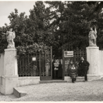 100 Jahre Landesmuseum Burgenland – Eine Geschichte in Objekten