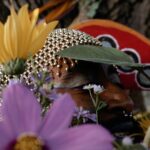 brut Wien: Mzamo Nondlwana – Waiting for fall
