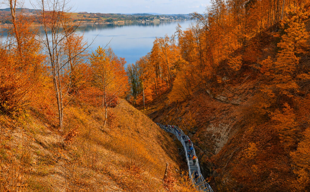 Eindrucksvoll präsentiert sich die wieder zugängliche Marienschlucht © MTK, Gerrit Siglinger, mit KI bearbeitet