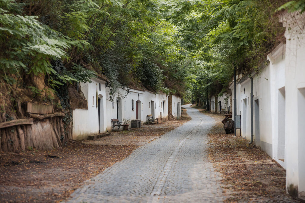 Kellergasse Radyweg, Poysdorf © Weinviertel Tourismus/Sebastian Burziwal